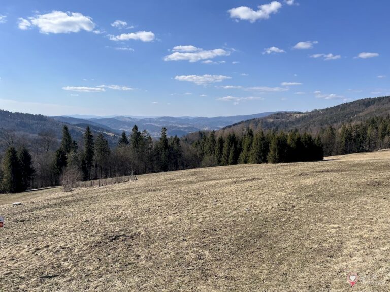 Trasa na Halę Boraczą