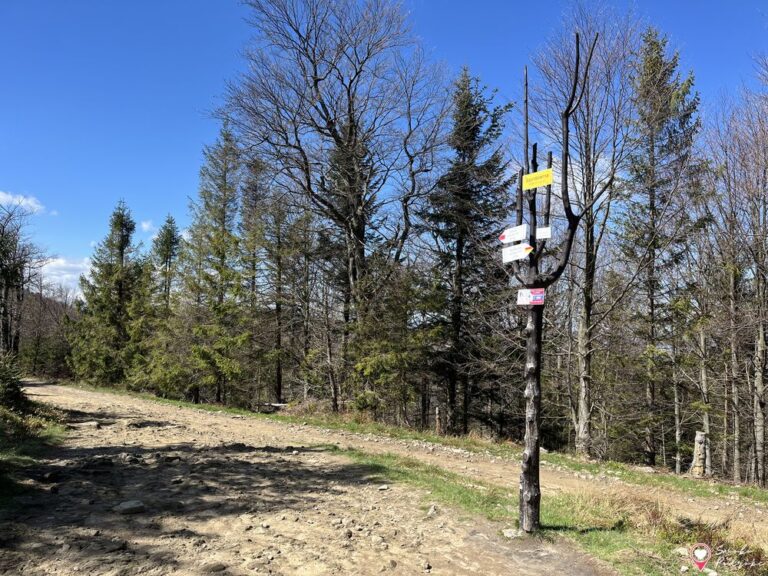 Klimczok przez Szyndzielnię