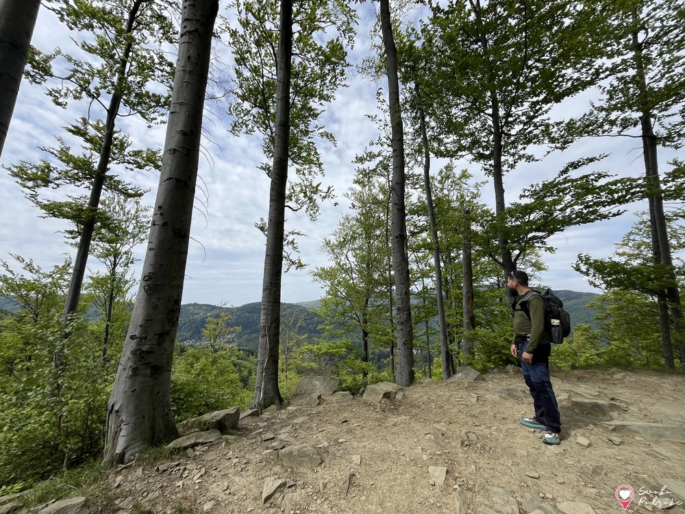 Skrzyczne - zejście zielonym szlakiem