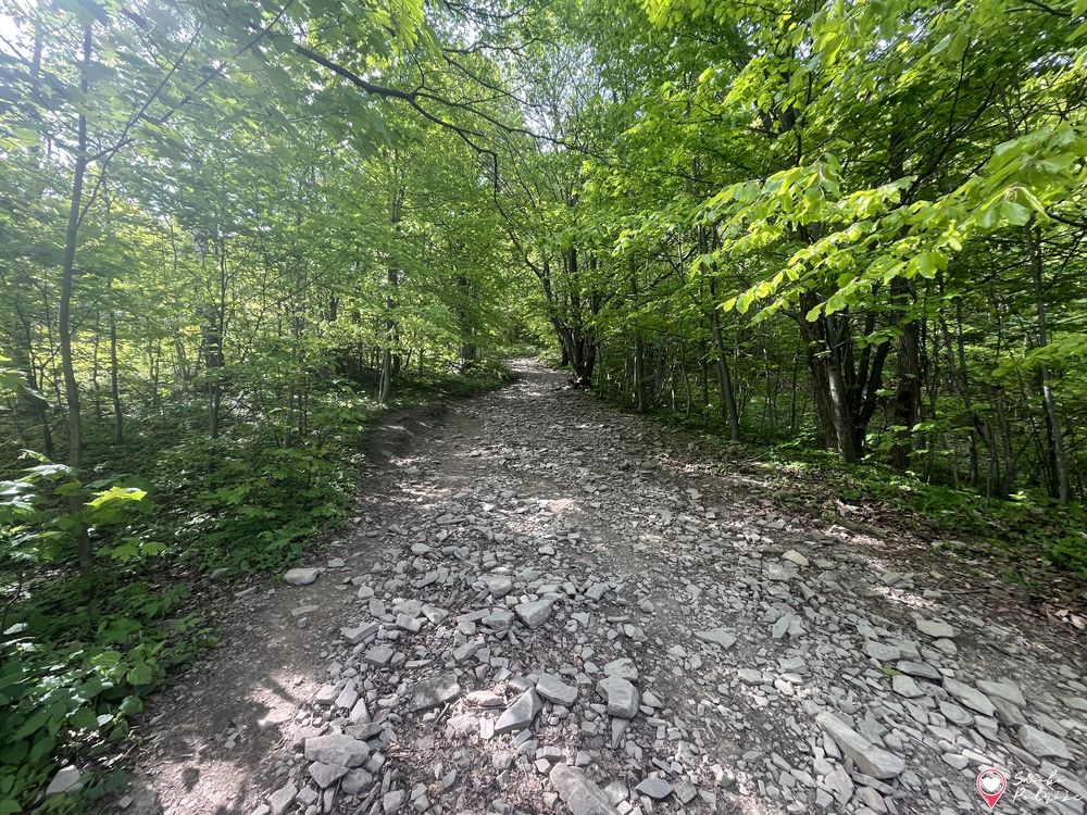 Skrzyczne - wejście niebieskim szlakiem