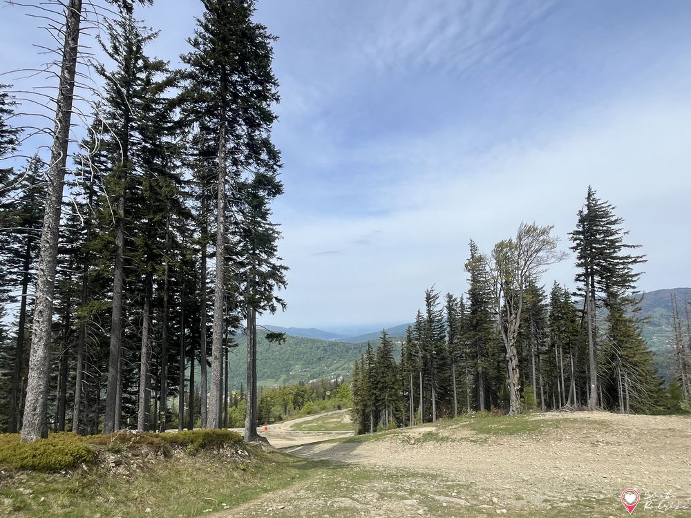 Skrzyczne - wejście niebieskim szlakiem