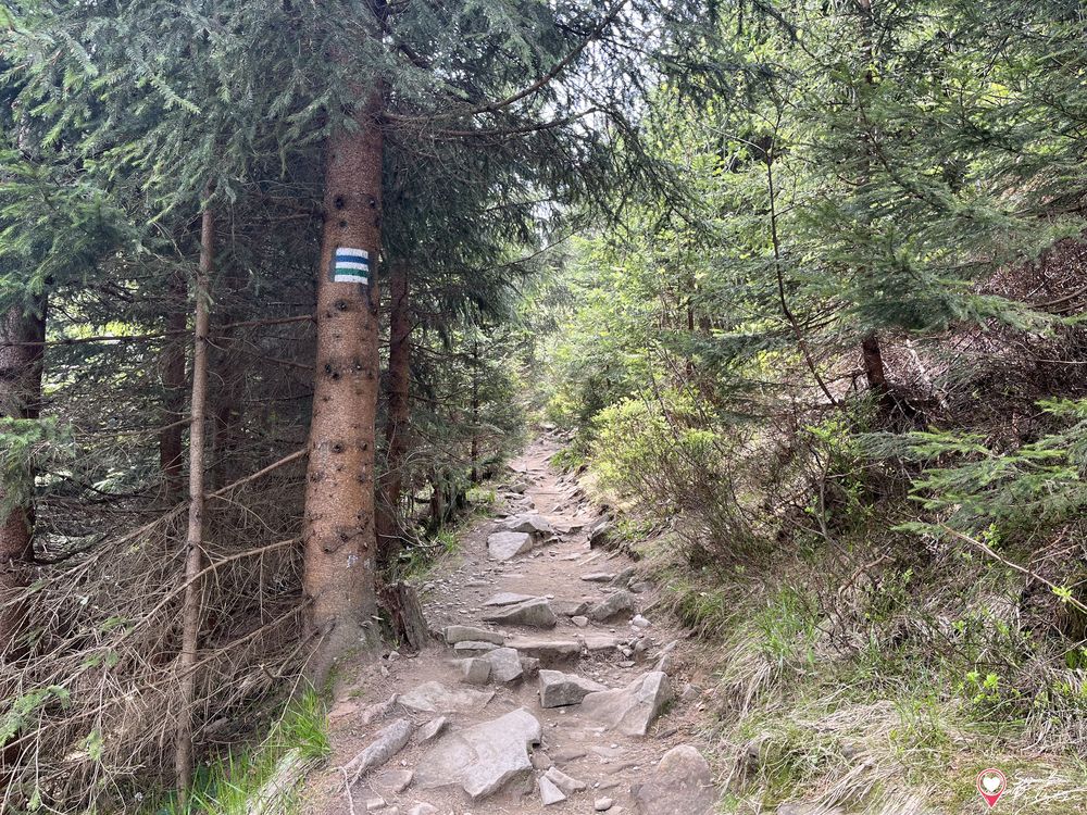 Skrzyczne - wejście niebieskim szlakiem