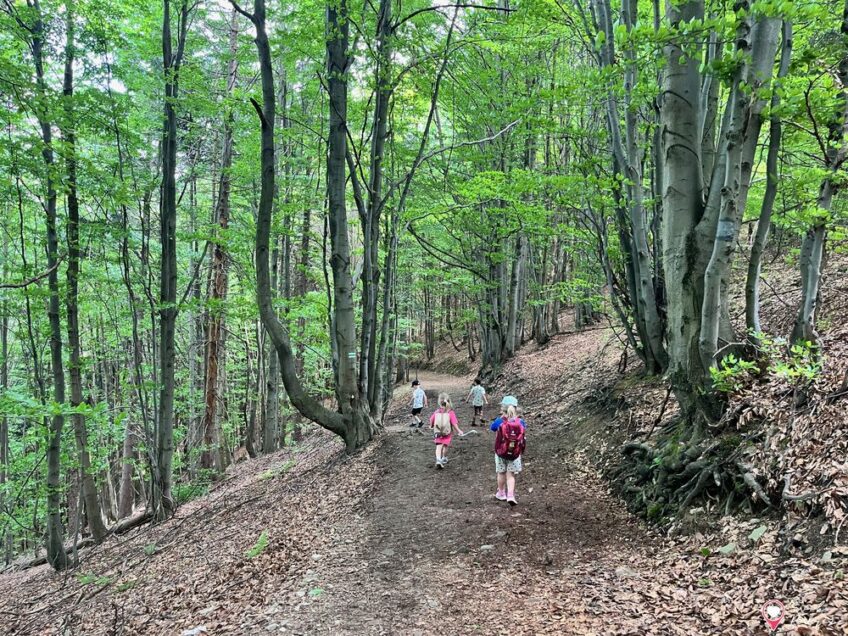 Trzy Kopce Wiślańskie - Beskid Śląski