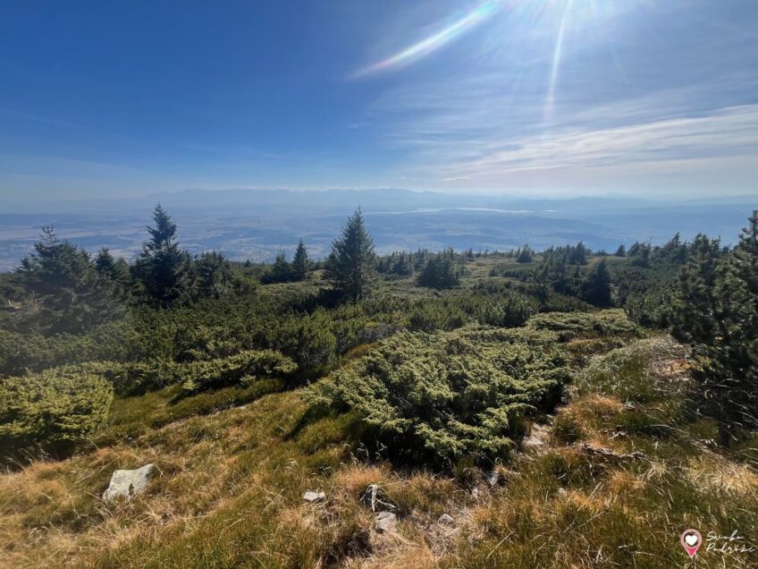 Babia Góra ze Stańcowej